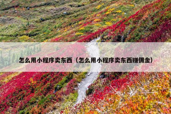 怎么用小程序卖东西（怎么用小程序卖东西赚佣金）