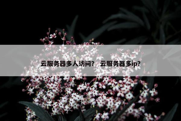 云服务器多人访问？ 云服务器多ip？