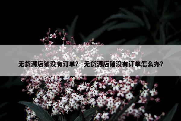 无货源店铺没有订单？ 无货源店铺没有订单怎么办？