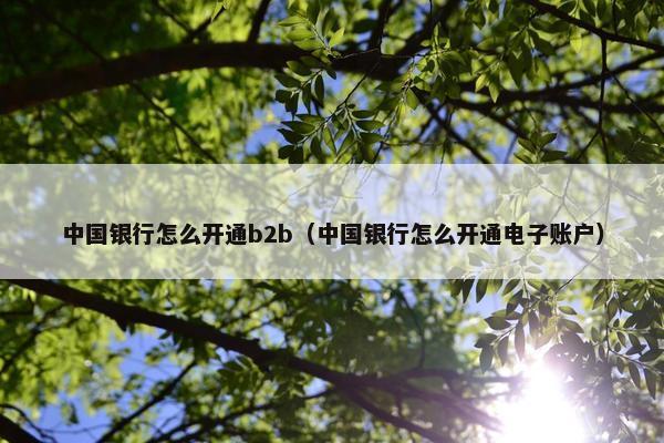 中国银行怎么开通b2b（中国银行怎么开通电子账户）