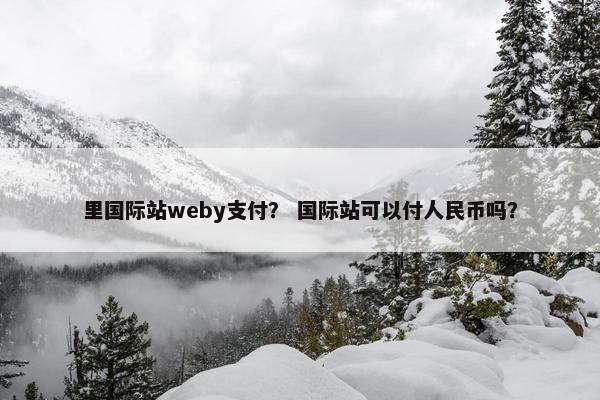 里国际站weby支付？ 国际站可以付人民币吗？