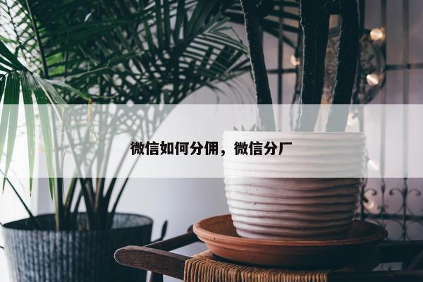 微信如何分佣，微信分厂