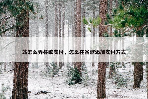 站怎么弄谷歌支付，怎么在谷歌添加支付方式