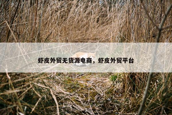 虾皮外贸无货源电商，虾皮外贸平台