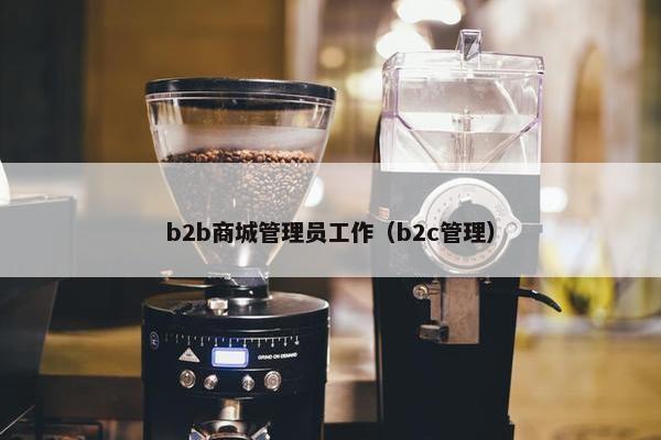 b2b商城管理员工作（b2c管理）