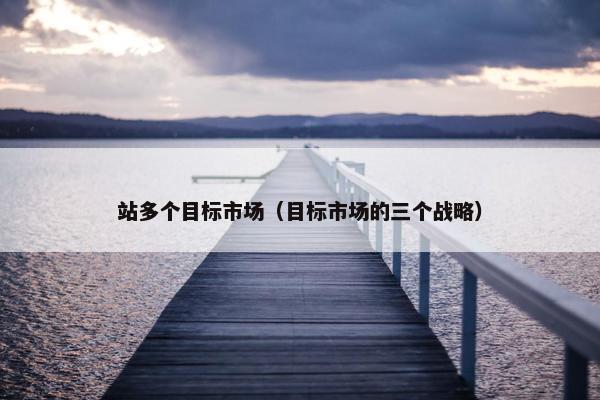 站多个目标市场（目标市场的三个战略）
