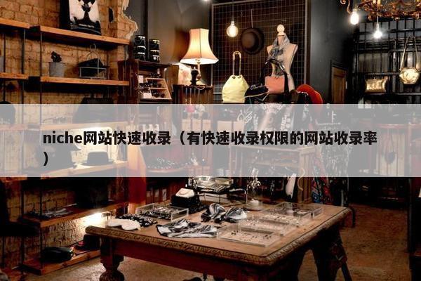 niche网站快速收录（有快速收录权限的网站收录率）