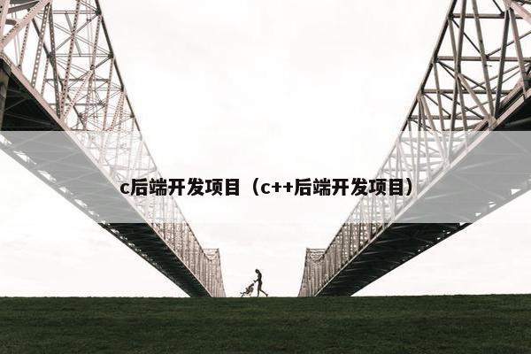 c后端开发项目（c++后端开发项目）