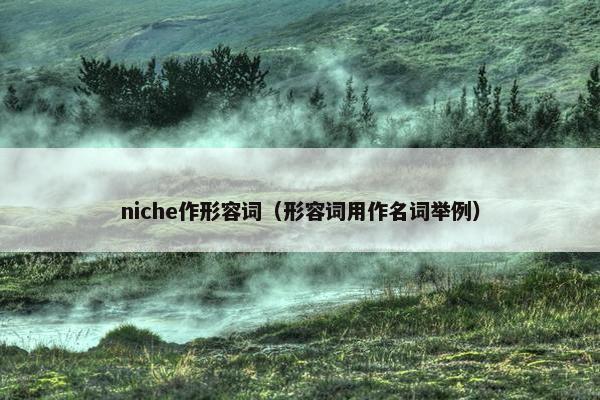 niche作形容词（形容词用作名词举例）