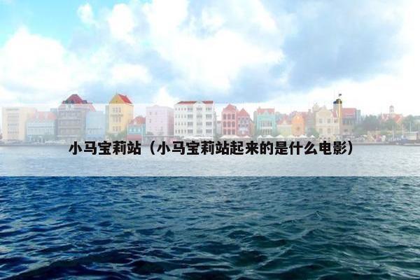 小马宝莉站（小马宝莉站起来的是什么电影）