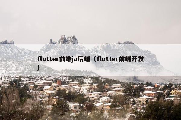 flutter前端ja后端（flutter前端开发）