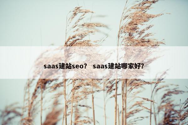 saas建站seo？ saas建站哪家好？