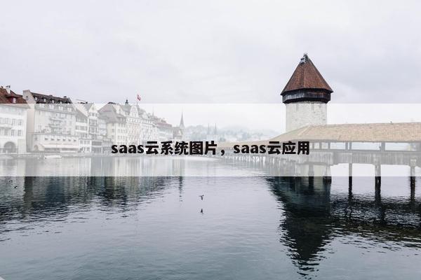 saas云系统图片，saas云应用