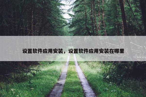 设置软件应用安装，设置软件应用安装在哪里