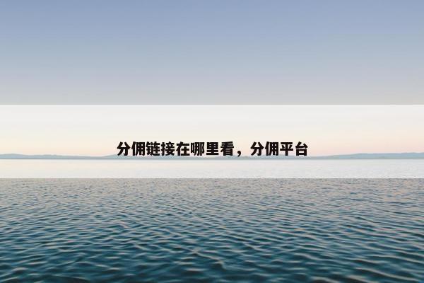 分佣链接在哪里看，分佣平台