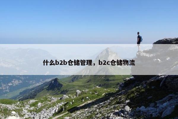 什么b2b仓储管理，b2c仓储物流