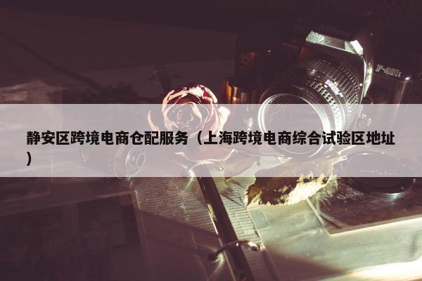静安区跨境电商仓配服务（上海跨境电商综合试验区地址）