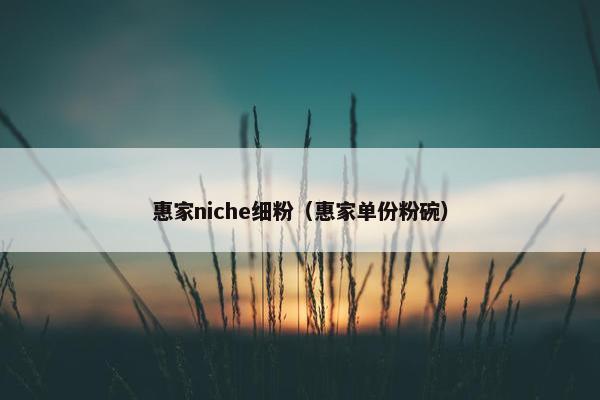 惠家niche细粉（惠家单份粉碗）