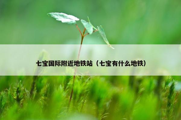 七宝国际附近地铁站（七宝有什么地铁）