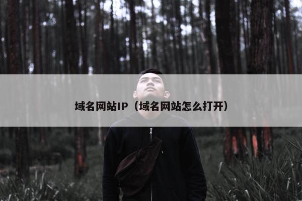 域名网站IP（域名网站怎么打开）