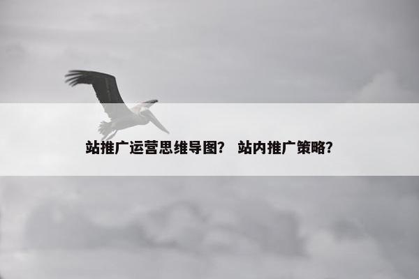 站推广运营思维导图？ 站内推广策略？