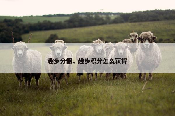 趣步分佣，趣步积分怎么获得