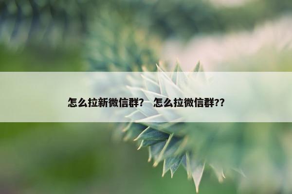 怎么拉新微信群？ 怎么拉微信群?？