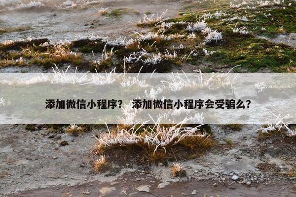 添加微信小程序？ 添加微信小程序会受骗么？
