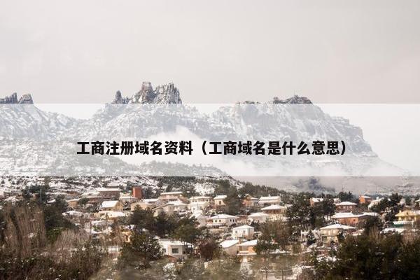 工商注册域名资料（工商域名是什么意思）