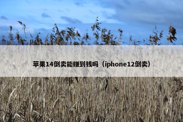 苹果14倒卖能赚到钱吗（iphone12倒卖）