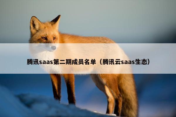 腾讯saas第二期成员名单（腾讯云saas生态）