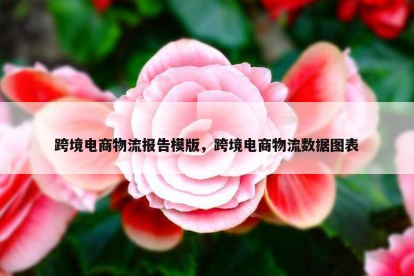 跨境电商物流报告模版，跨境电商物流数据图表