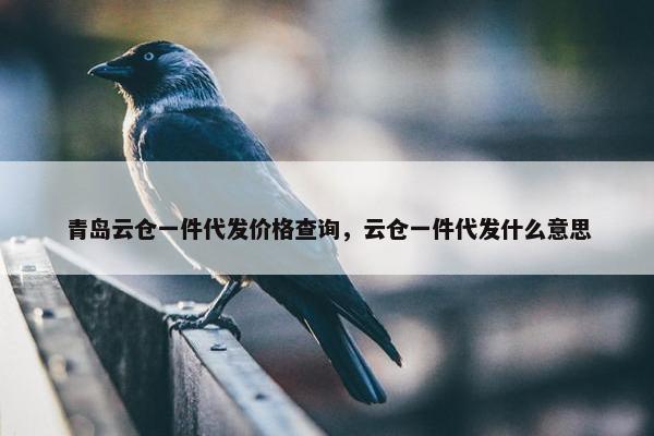 青岛云仓一件代发价格查询，云仓一件代发什么意思