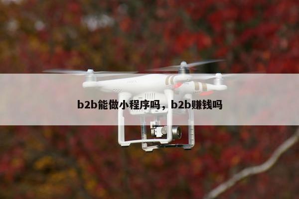 b2b能做小程序吗，b2b赚钱吗