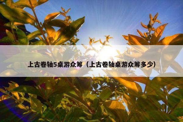 上古卷轴5桌游众筹（上古卷轴桌游众筹多少）