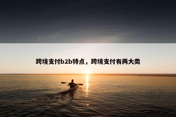 跨境支付b2b特点，跨境支付有两大类
