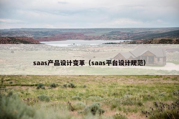 saas产品设计变革（saas平台设计规范）