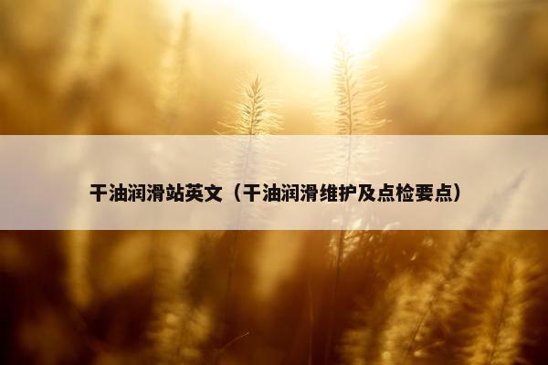 干油润滑站英文（干油润滑维护及点检要点）