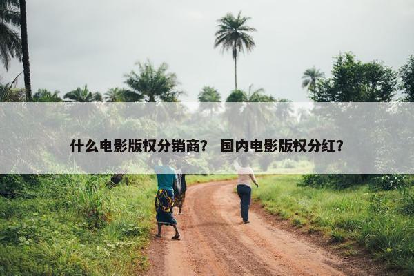 什么电影版权分销商？ 国内电影版权分红？