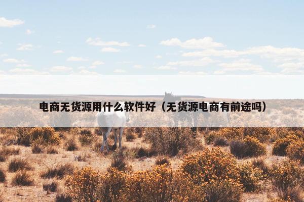 电商无货源用什么软件好（无货源电商有前途吗）