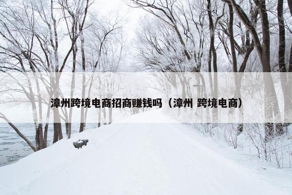 漳州跨境电商招商赚钱吗（漳州 跨境电商）