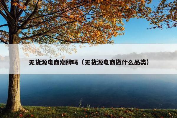 无货源电商潮牌吗（无货源电商做什么品类）