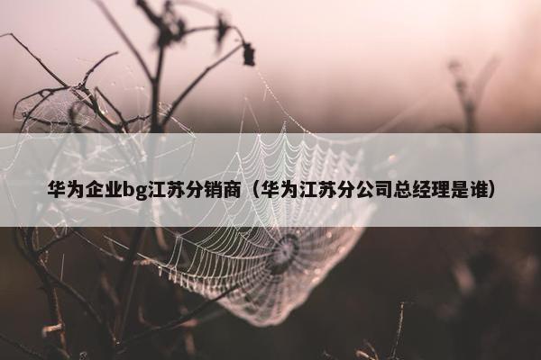华为企业bg江苏分销商（华为江苏分公司总经理是谁）