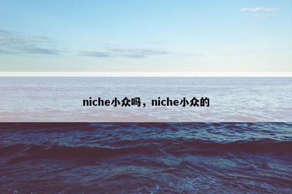 niche小众吗，niche小众的