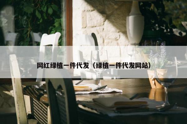 网红绿植一件代发（绿植一件代发网站）
