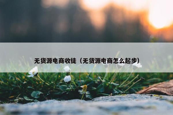 无货源电商收徒（无货源电商怎么起步）