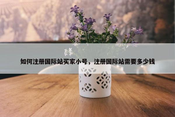 如何注册国际站买家小号，注册国际站需要多少钱