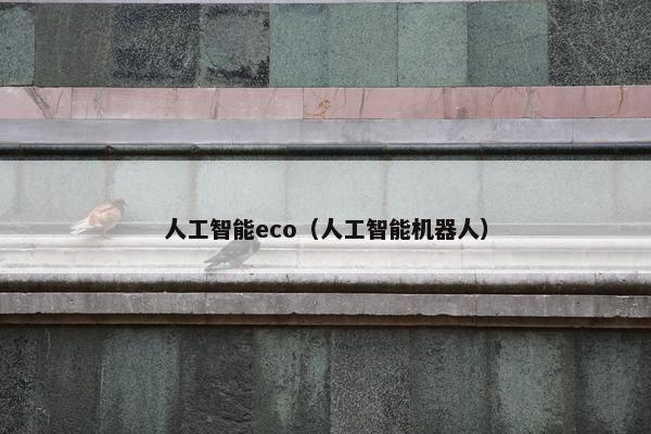 人工智能eco（人工智能机器人）