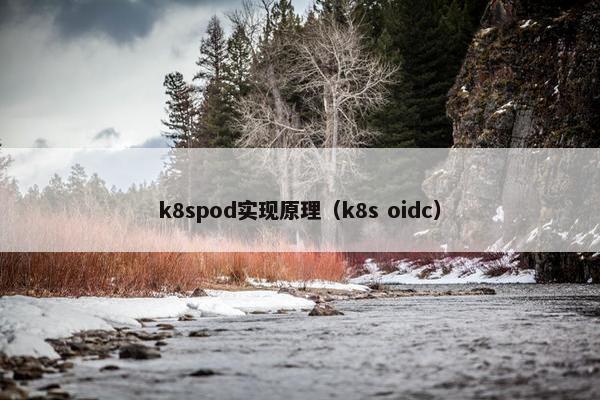 k8spod实现原理（k8s oidc）