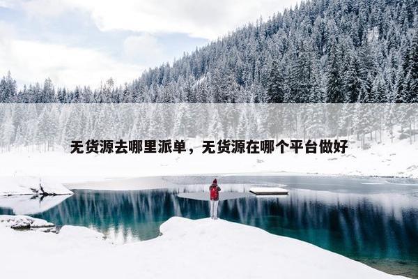 无货源去哪里派单，无货源在哪个平台做好